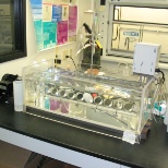 In Vitro Bioaccessability Rotary Extractor