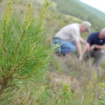 Forestry Employees