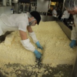 Cheese Production