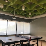 Overland Park Office Ping Pong Table