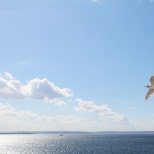 Beautiful Elliott Bay, right in our backyard!